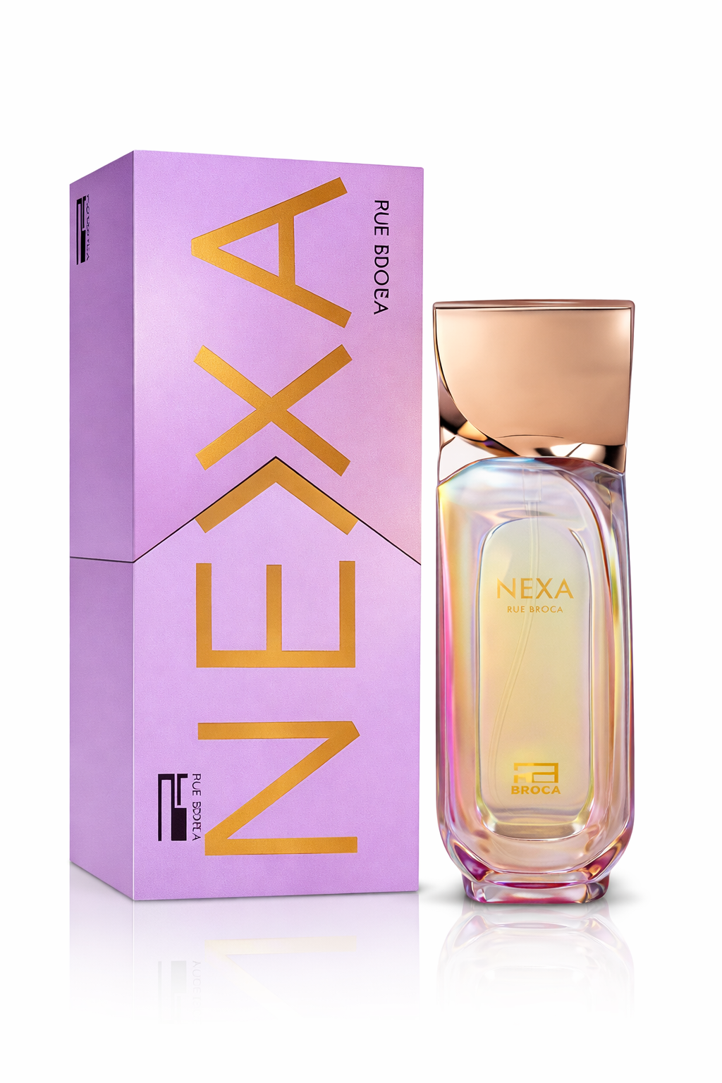 Afnan Rue Broca Nexa Muse